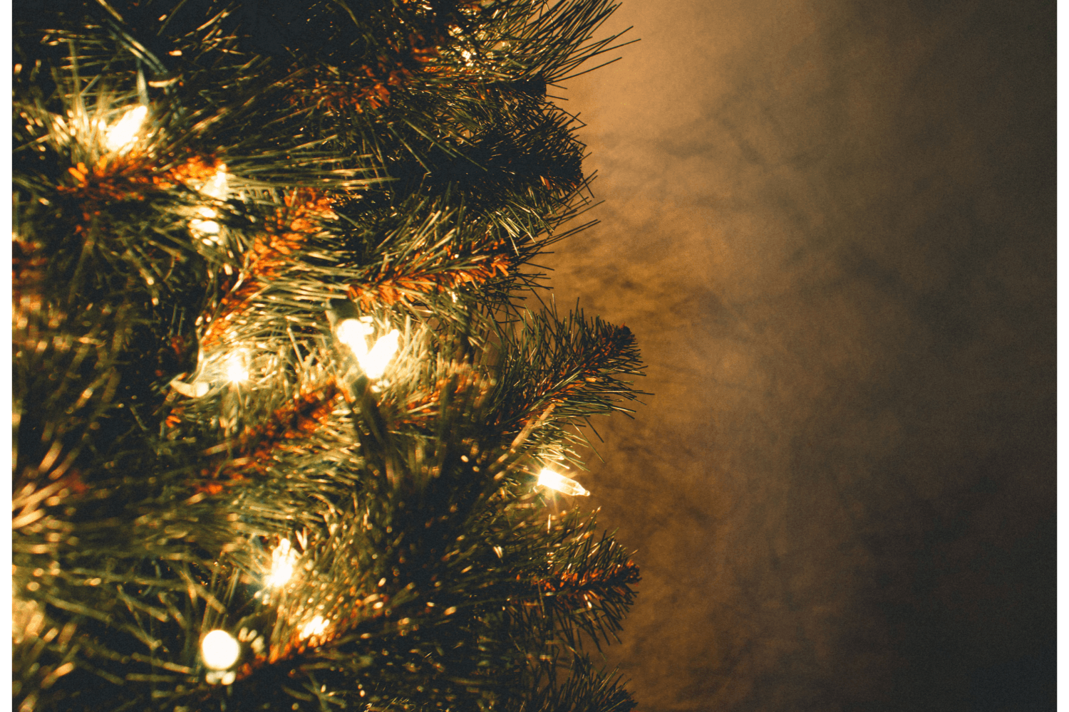 Consigli di coaching sotto l’albero