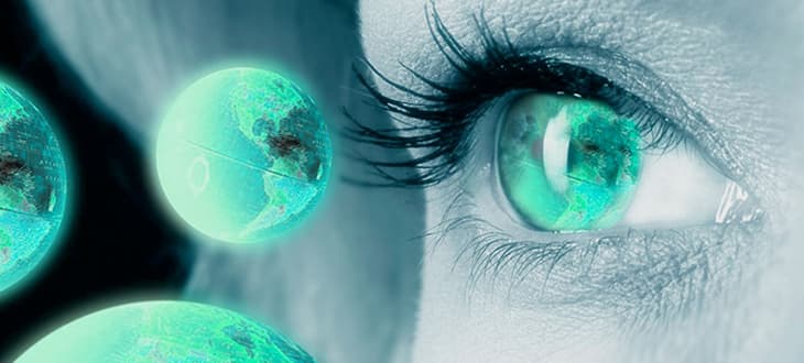 SE L AZIENDA E UN CORPO SMEMBRATO